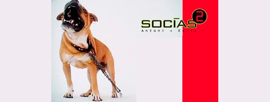 img.socias2